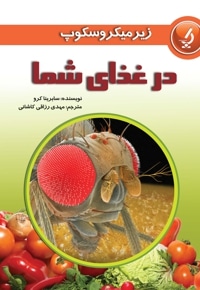 در غذای شما